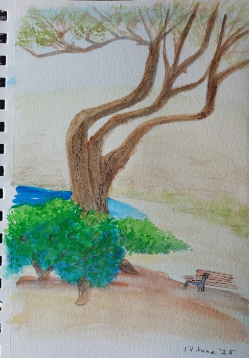 Next Picture